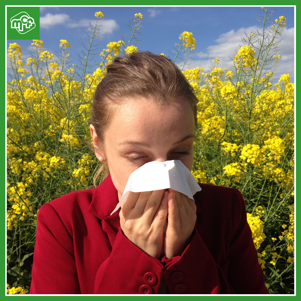 Le retour du pollen : comment faire face aux allergies ?