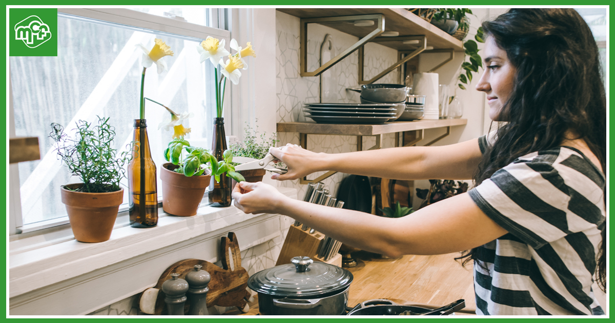 Comment maintenir une alimentation équilibrée pendant les vacances ?